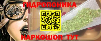 прущие грибы Конаково