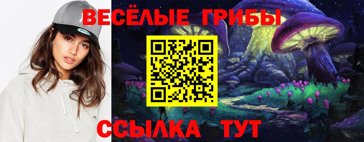 Галлюциногенные грибы Cubensis  Галлюциногенные грибы мицелий  цены   Вход с VPN  Губаха 