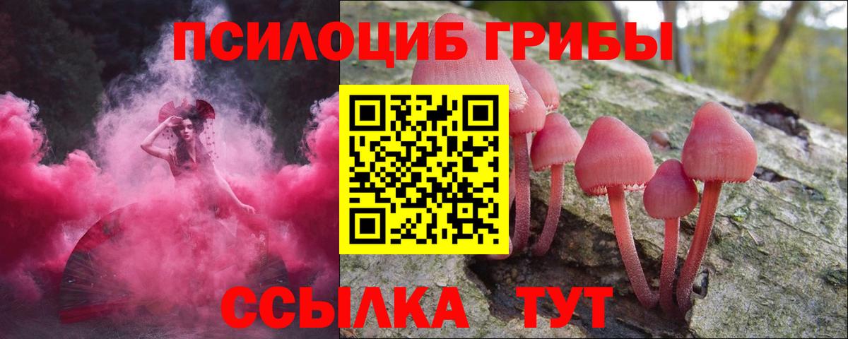 Псилоцибиновые грибы Psilocybine cubensis Губаха